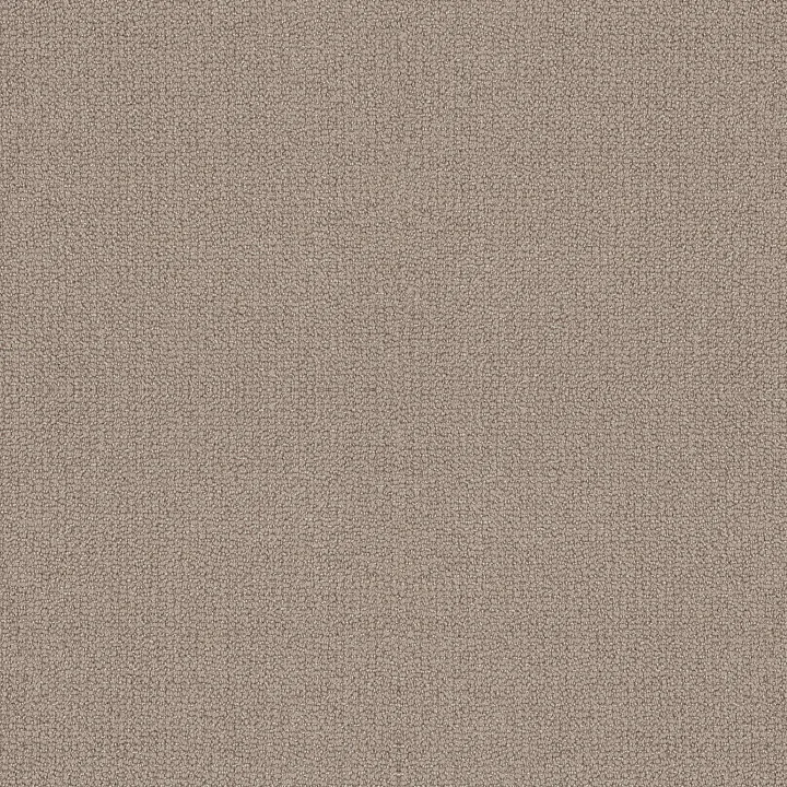 Shaw Floors Embellished — Perfect Taupe · 5E458-00119 — flooring selection with LeviArs Design & Remodeling