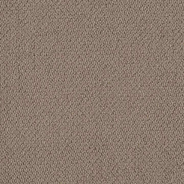 Shaw Floors Embellished — Raw Wood · 5E458-00710 — flooring selection with LeviArs Design & Remodeling
