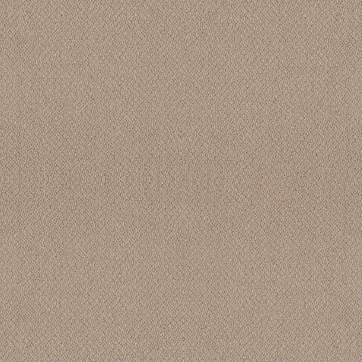 Shaw Floors Embellished — Thatched Roof · 5E458-00120 — flooring selection with LeviArs Design & Remodeling