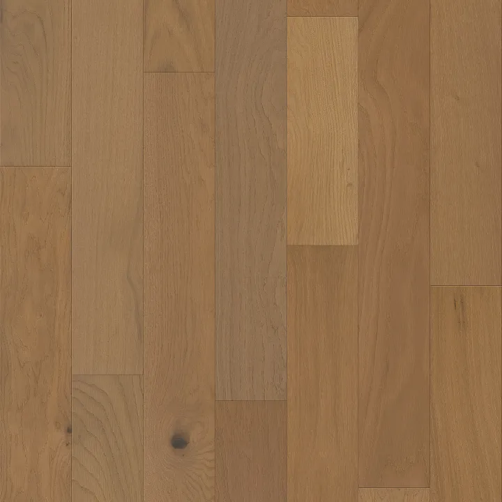 Shaw Floors Empire Oak Plank — Hearst · SW583-02012 — flooring selection with LeviArs Design & Remodeling