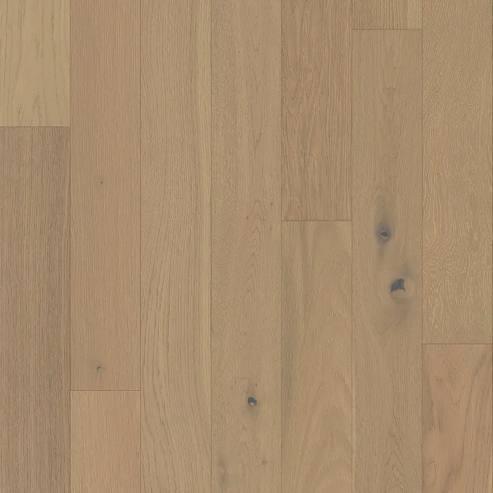 Shaw Floors Empire Oak Plank — Vanderbilt · SW583-01015 — flooring selection with LeviArs Design & Remodeling
