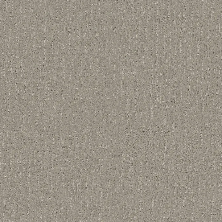 Shaw Floors Endless Memories — Back Patio · EA834-00724 — flooring selection with LeviArs Design & Remodeling