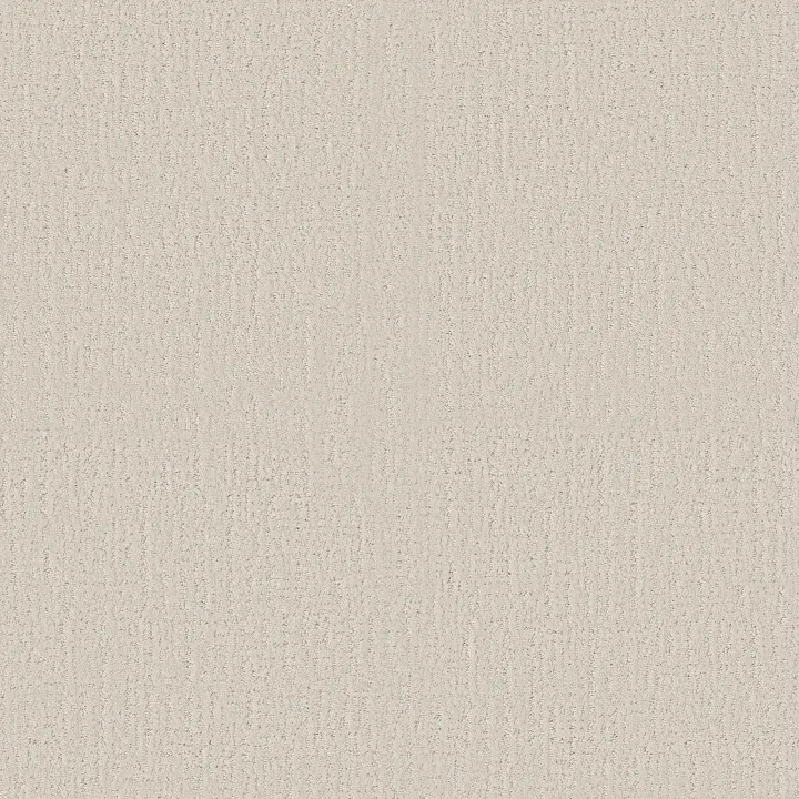 Shaw Floors Endless Memories — Champagne Toast · EA834-00153 — flooring selection with LeviArs Design & Remodeling