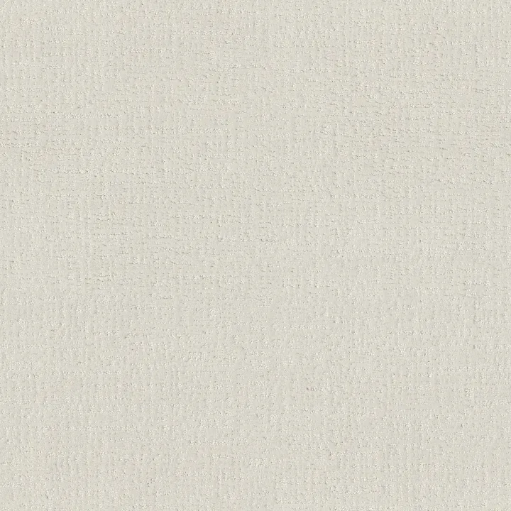 Shaw Floors Endless Memories — Clean Linen · EA834-00122 — flooring selection with LeviArs Design & Remodeling