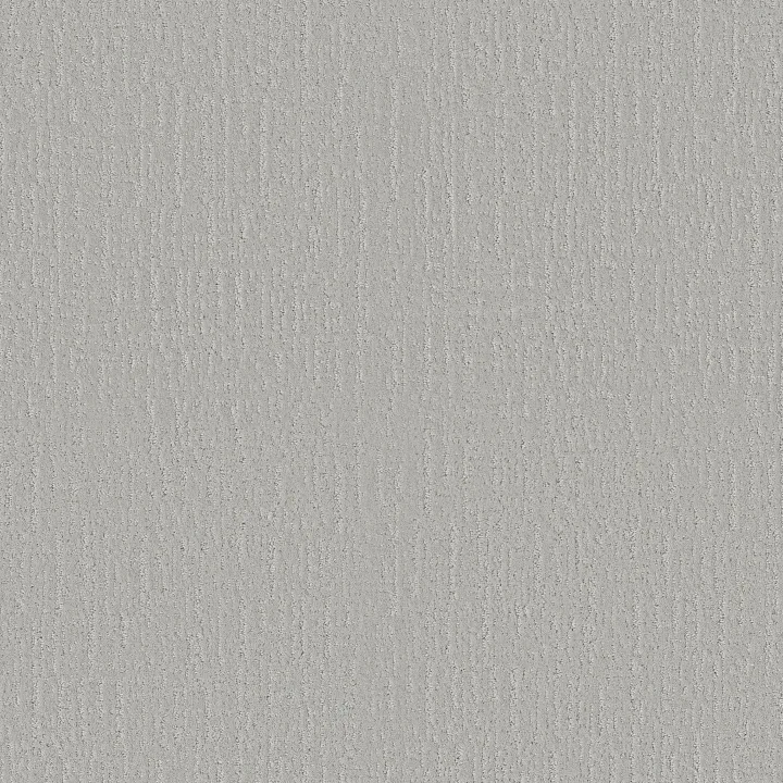 Shaw Floors Endless Memories — Dreamy · EA834-00537 — flooring selection with LeviArs Design & Remodeling