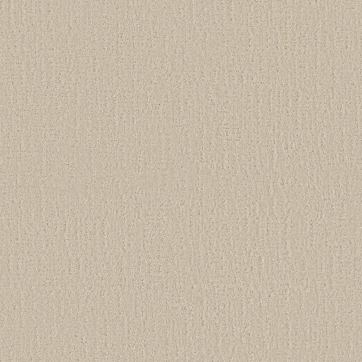 Shaw Floors Endless Memories — Happy Place · EA834-00123 — flooring selection with LeviArs Design & Remodeling