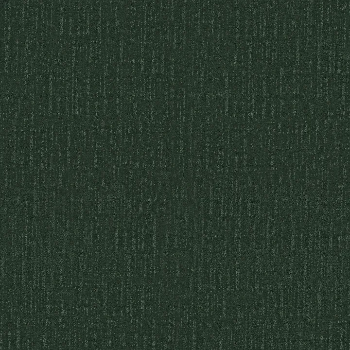 Shaw Floors Endless Memories — Magnolia Branch · EA834-00322 — flooring selection with LeviArs Design & Remodeling