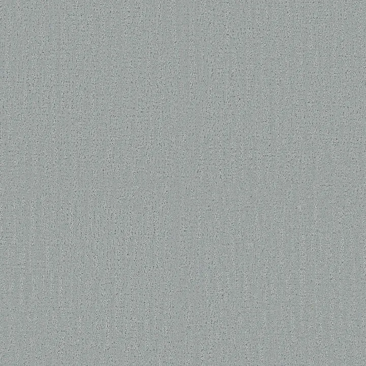 Shaw Floors Endless Memories — Polished Silver · EA834-00538 — flooring selection with LeviArs Design & Remodeling