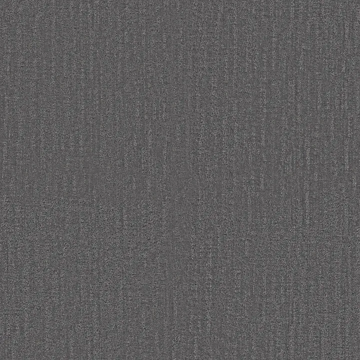 Shaw Floors Endless Memories — Power Suit · EA834-00550 — flooring selection with LeviArs Design & Remodeling