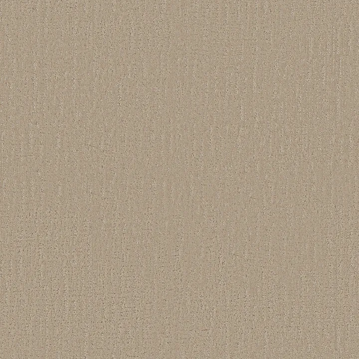 Shaw Floors Endless Memories — Walk On The Beach · EA834-00721 — flooring selection with LeviArs Design & Remodeling