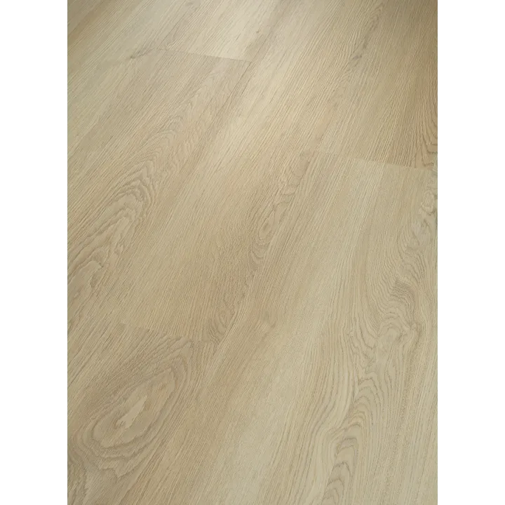 Shaw Floors Endura Plus — White Sand · 0736V-02013 — flooring selection with LeviArs Design & Remodeling