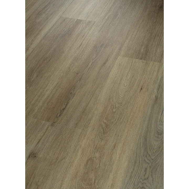 Shaw Floors Endura Plus — Wild Dunes · 0736V-07089 — flooring selection with LeviArs Design & Remodeling