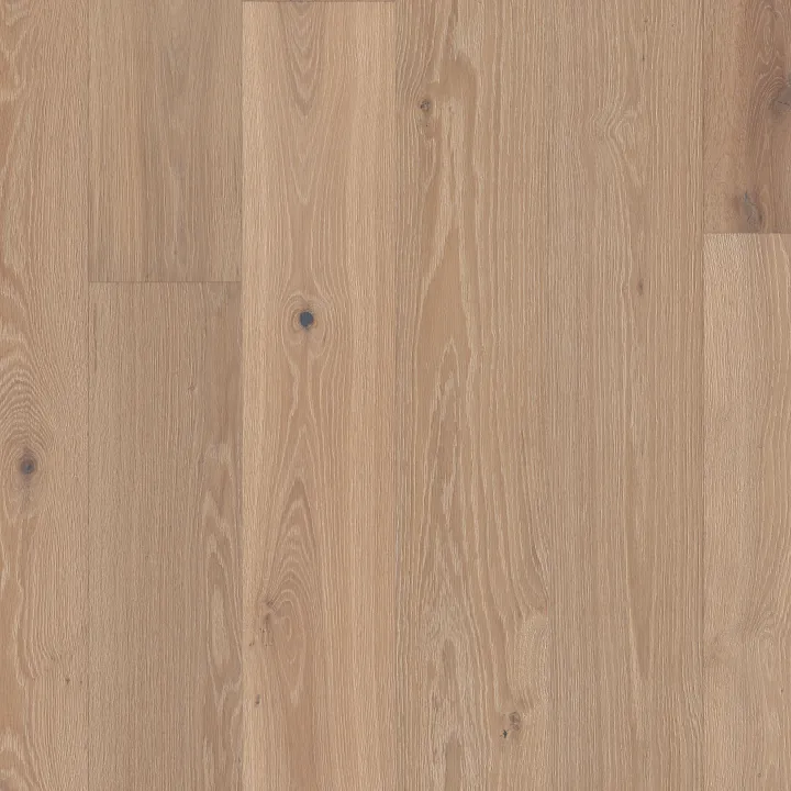 Shaw Floors Ensemble — Applique · SW768-01146 — flooring selection with LeviArs Design & Remodeling