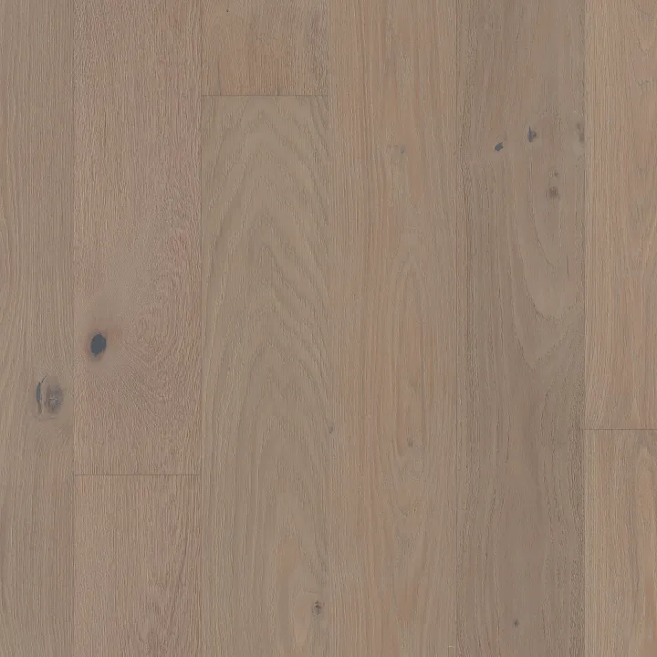 Shaw Floors Ensemble — Atelier · SW768-05110 — flooring selection with LeviArs Design & Remodeling