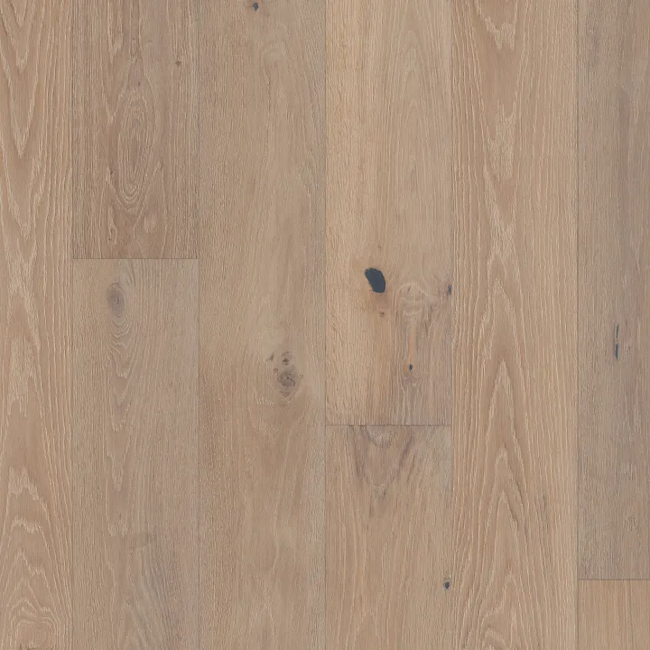 Shaw Floors Ensemble — Bolero · SW768-05109 — flooring selection with LeviArs Design & Remodeling