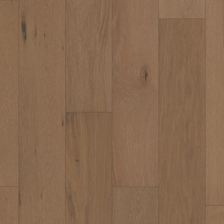 Shaw Floors Ensemble — Brioche · SW768-07099 — flooring selection with LeviArs Design & Remodeling