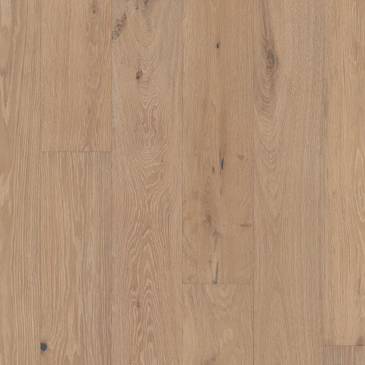Shaw Floors Ensemble — Brocade · SW768-07135 — flooring selection with LeviArs Design & Remodeling