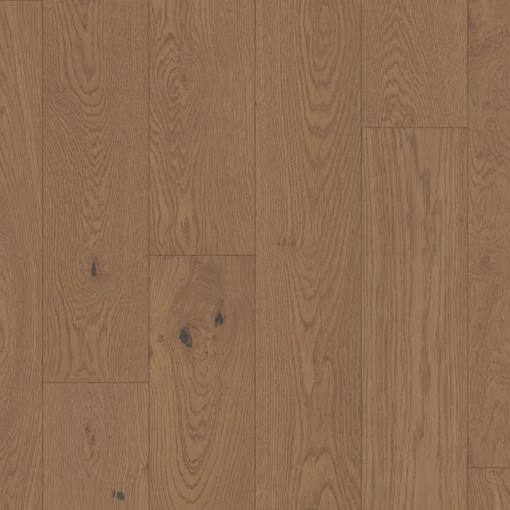 Shaw Floors Ensemble — Caramel · SW768-07102 — flooring selection with LeviArs Design & Remodeling