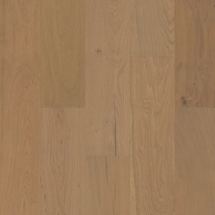 Shaw Floors Couture Oak — Crema · SW689-02034 — flooring selection with LeviArs Design & Remodeling
