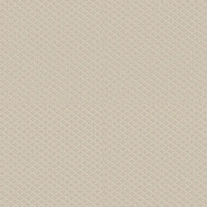 Shaw Floors Entwined With You — Alabaster · E9808-00172 — flooring selection with LeviArs Design & Remodeling