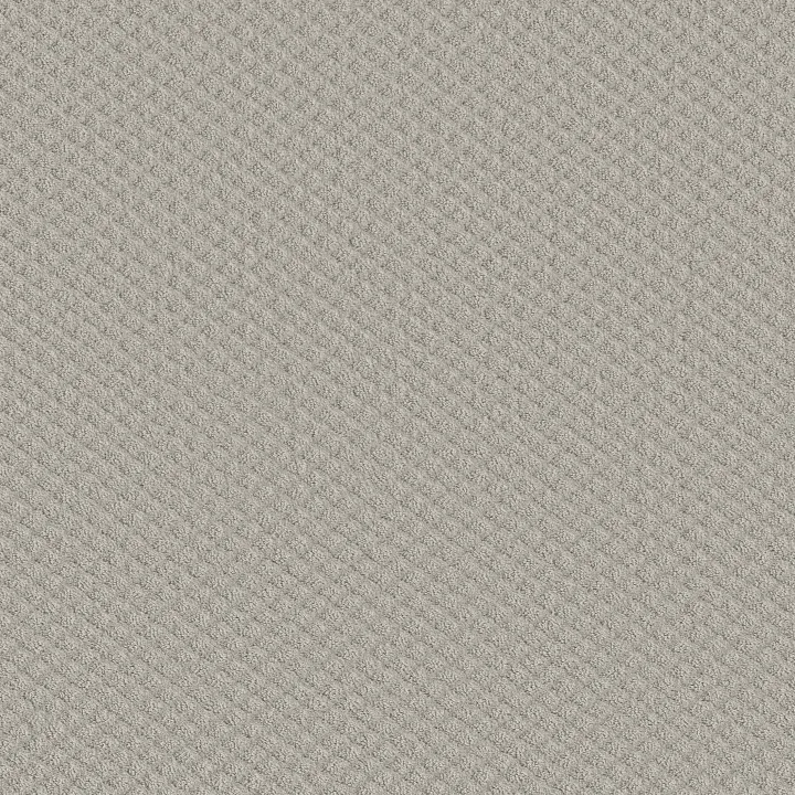 Shaw Floors Entwined With You — Etched Glass · E9808-00576 — flooring selection with LeviArs Design & Remodeling