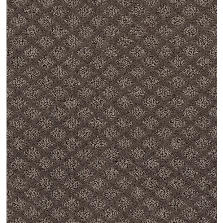 Shaw Floors Entwined With You — Front Gate · E9808-00773 — flooring selection with LeviArs Design & Remodeling