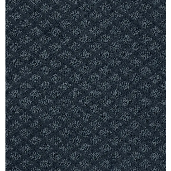 Shaw Floors Entwined With You — Modern Spaces · E9808-00473 — flooring selection with LeviArs Design & Remodeling