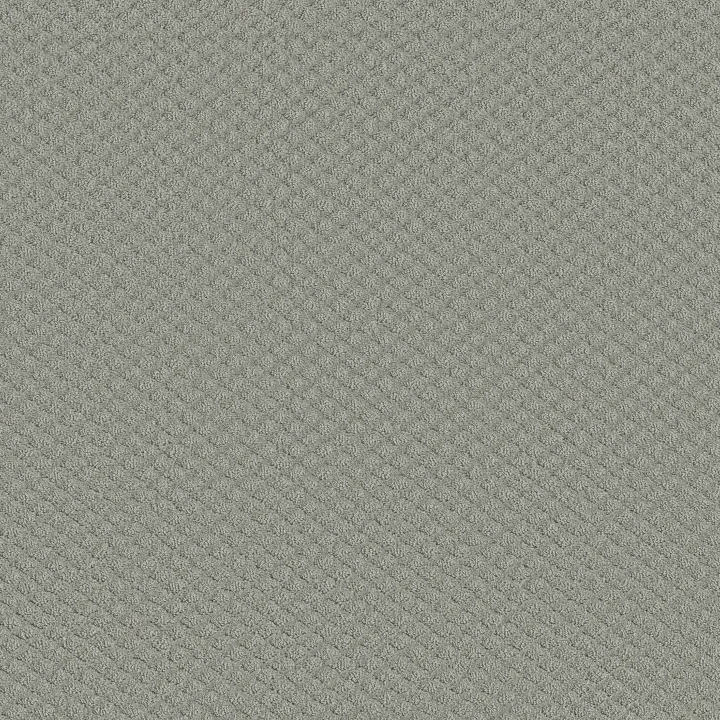 Shaw Floors Entwined With You — Offshore Mist · E9808-00477 — flooring selection with LeviArs Design & Remodeling