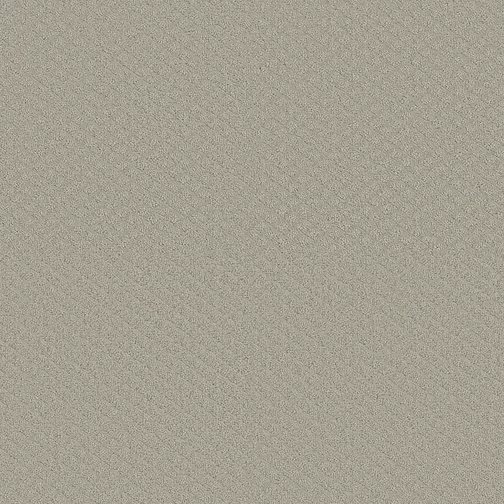 Shaw Floors Entwined With You — Quiet Moment · E9808-00175 — flooring selection with LeviArs Design & Remodeling