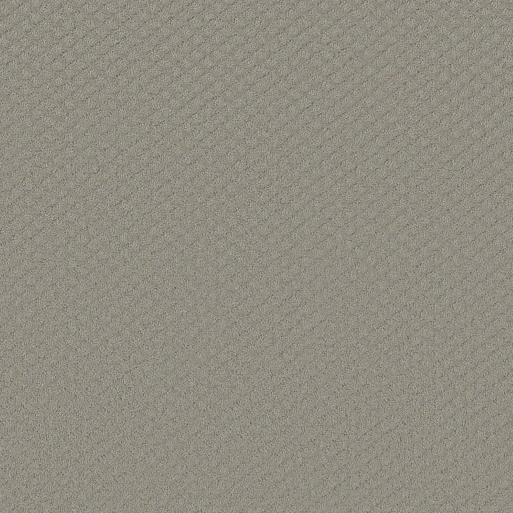 Shaw Floors Entwined With You — Silhouette · E9808-00570 — flooring selection with LeviArs Design & Remodeling
