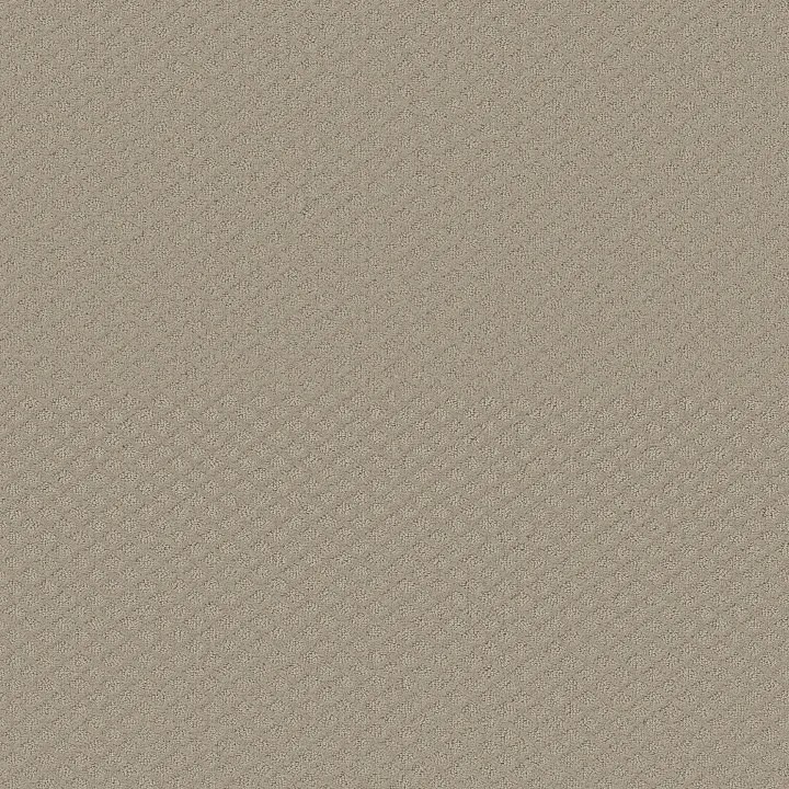 Shaw Floors Entwined With You — Studio Taupe · E9808-00173 — flooring selection with LeviArs Design & Remodeling