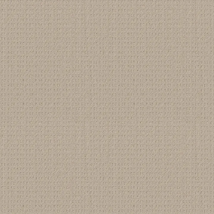 Shaw Floors Essential Now — Butter Cream · 5E290-00107 — flooring selection with LeviArs Design & Remodeling