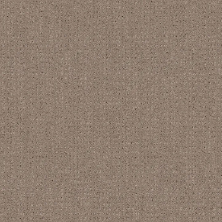 Shaw Floors Essential Now — Desert View · 5E290-00701 — flooring selection with LeviArs Design & Remodeling