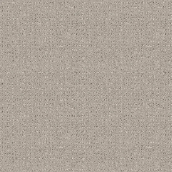 Shaw Floors Essential Now — Fossil Path · 5E290-00108 — flooring selection with LeviArs Design & Remodeling