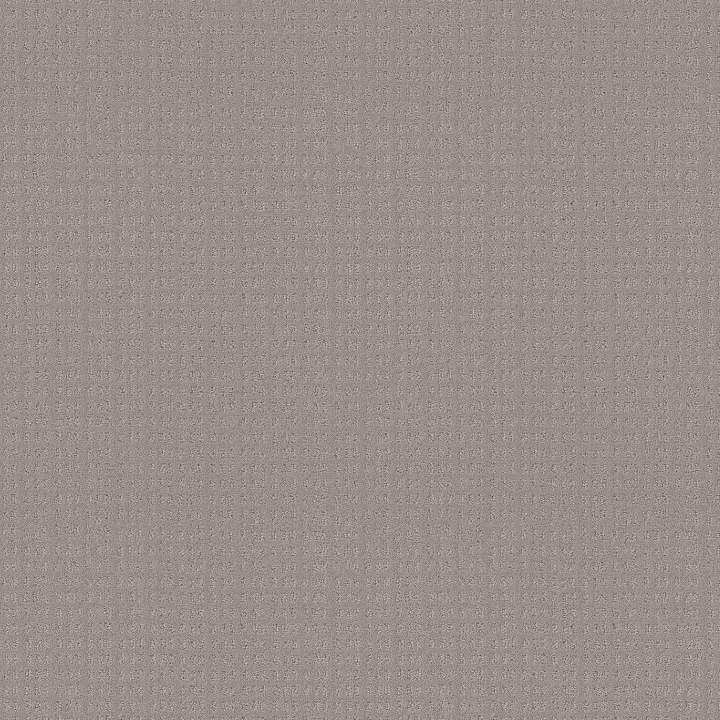 Shaw Floors Essential Now — Newstone Haven · 5E290-00502 — flooring selection with LeviArs Design & Remodeling