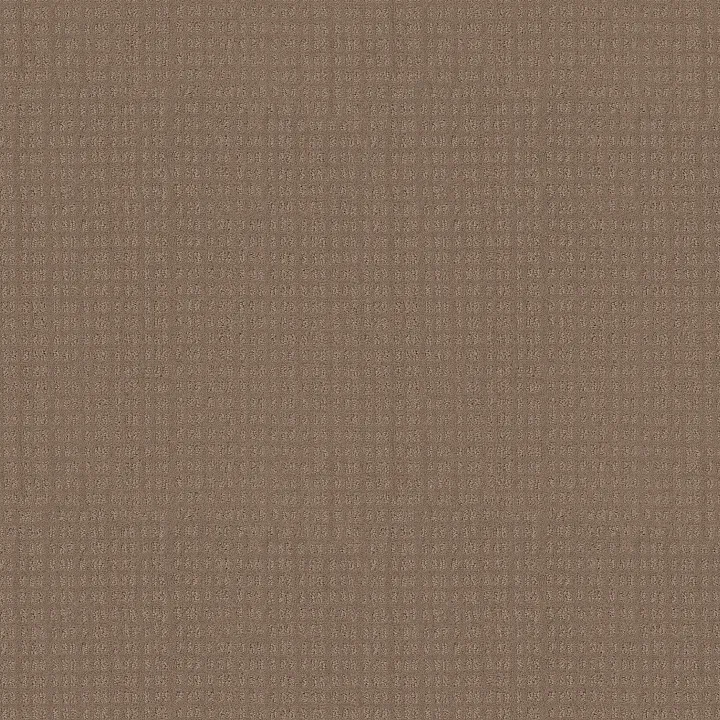 Shaw Floors Essential Now — Raw Wood · 5E290-00720 — flooring selection with LeviArs Design & Remodeling