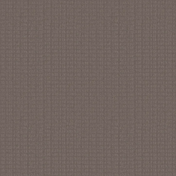 Shaw Floors Essential Now — Ridgeview · 5E290-00751 — flooring selection with LeviArs Design & Remodeling