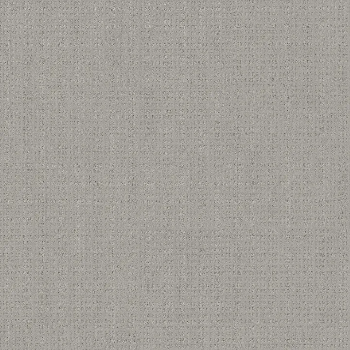 Shaw Floors Essential Now — Silver Lining · 5E290-00500 — flooring selection with LeviArs Design & Remodeling
