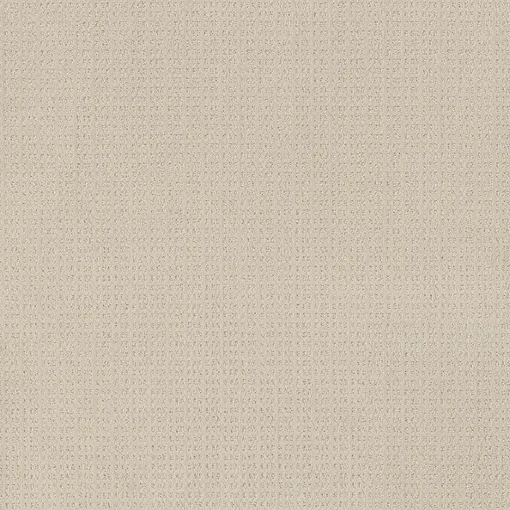 Shaw Floors Essential Now — Washed Linen · 5E290-00103 — flooring selection with LeviArs Design & Remodeling