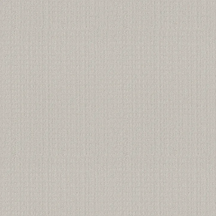 Shaw Floors Essential Now — Winters Dawn · 5E290-00102 — flooring selection with LeviArs Design & Remodeling