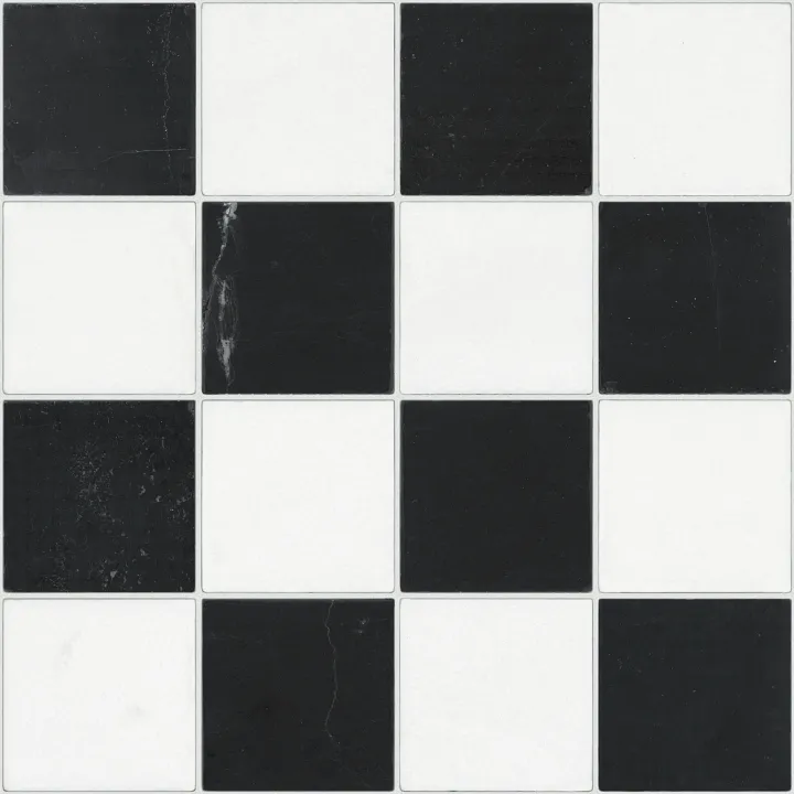 Shaw Floors Eterna Chkr Mo — Castel Nero Marquina · 763TS-00906 — flooring selection with LeviArs Design & Remodeling