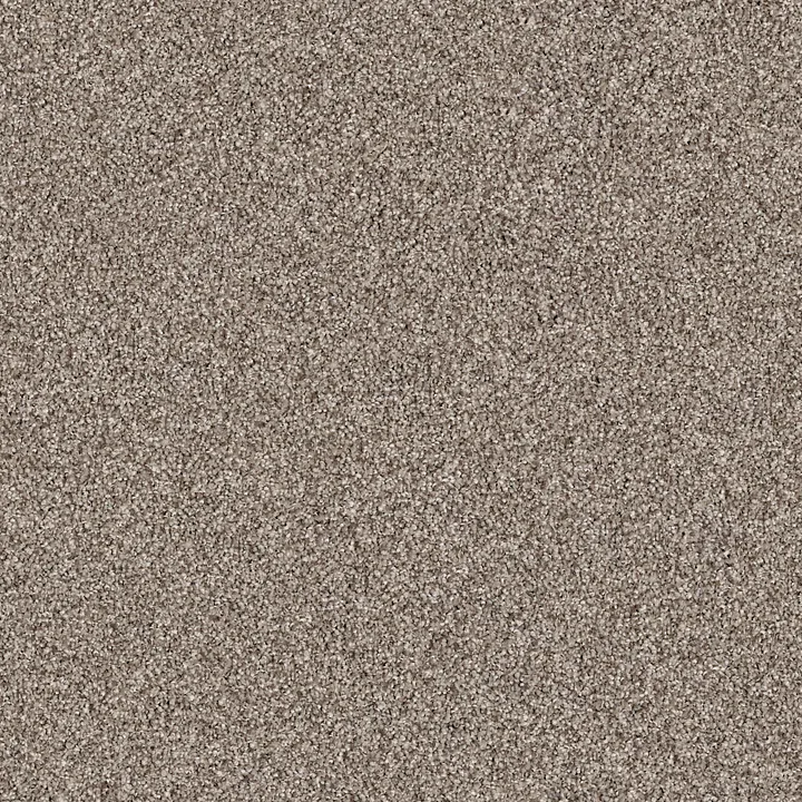 Shaw Floors Gold Texture Tonal — Park Avenue · EA578-00194 — flooring selection with LeviArs Design & Remodeling
