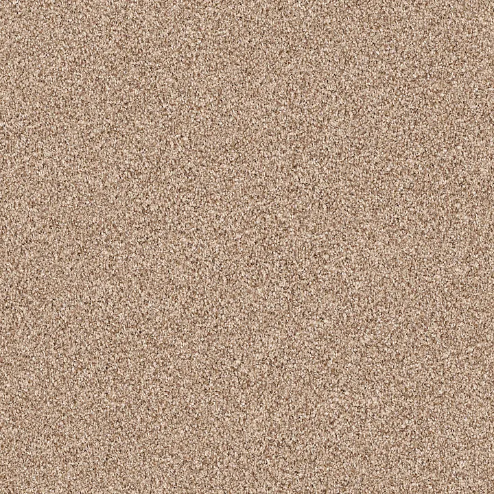 Shaw Floors Gold Texture Tonal — Hidden Treasure · EA578-00791 — flooring selection with LeviArs Design & Remodeling