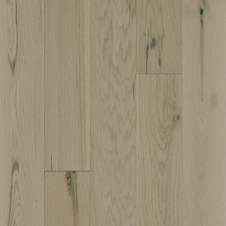Shaw Floors Exploration Oak — Harbor · SW713-01089 — flooring selection with LeviArs Design & Remodeling