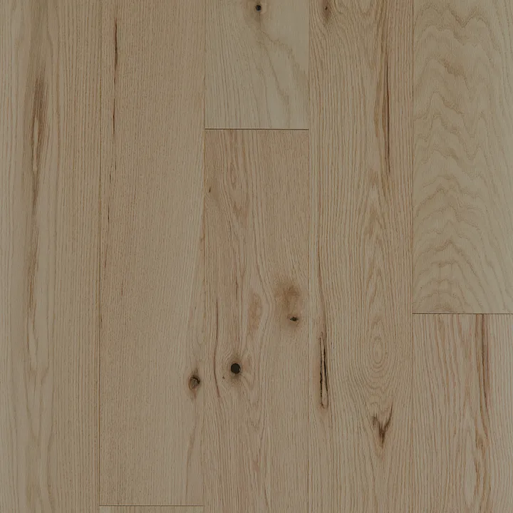 Shaw Floors Exploration Oak — Horizon · SW713-02055 — flooring selection with LeviArs Design & Remodeling