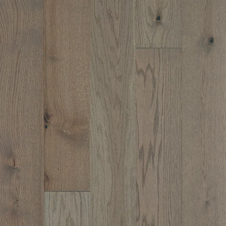 Shaw Floors Exploration Oak — Journey · SW713-05094 — flooring selection with LeviArs Design & Remodeling