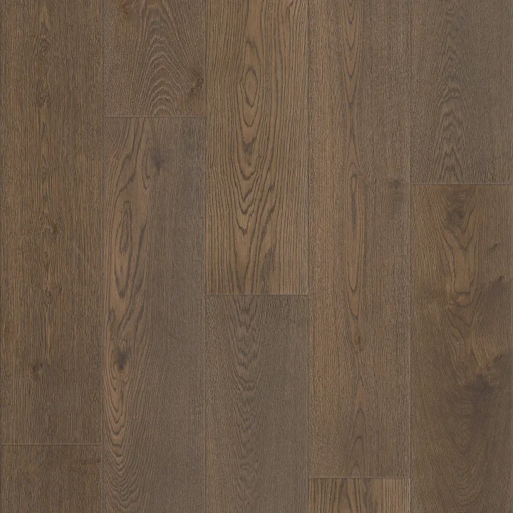 Shaw Floors Expressions 9.5" — Bravura · SW754-07122 — flooring selection with LeviArs Design & Remodeling