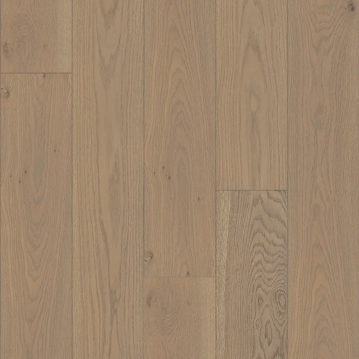 Shaw Floors Expressions 9.5" — Finesse · SW754-05101 — flooring selection with LeviArs Design & Remodeling