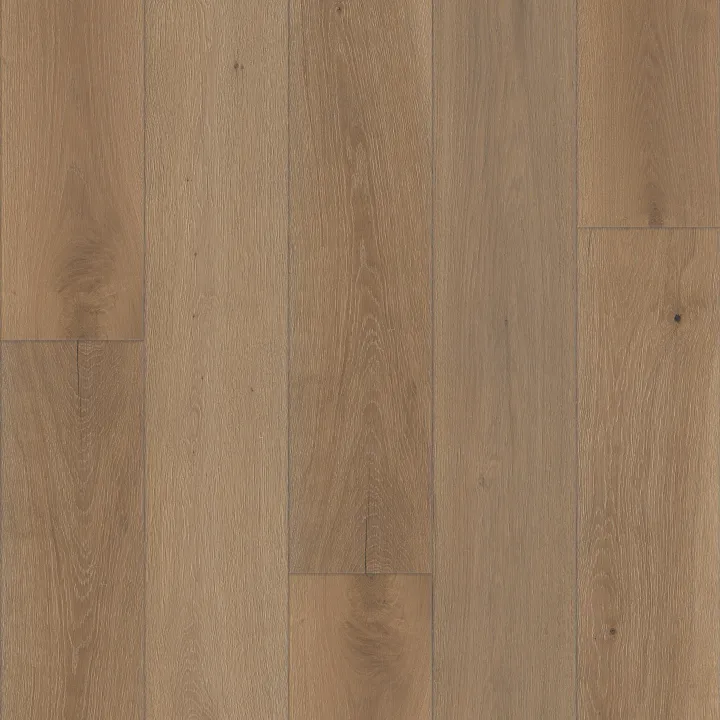 Shaw Floors Expressions 9.5" — Kinetic · SW754-07107 — flooring selection with LeviArs Design & Remodeling