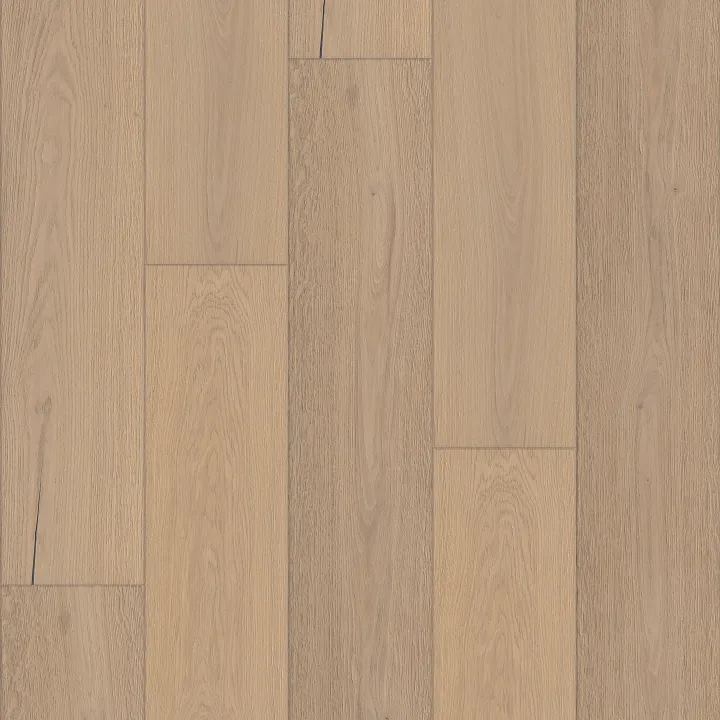 Shaw Floors Expressions 9.5" — Lyric · SW754-01129 — flooring selection with LeviArs Design & Remodeling